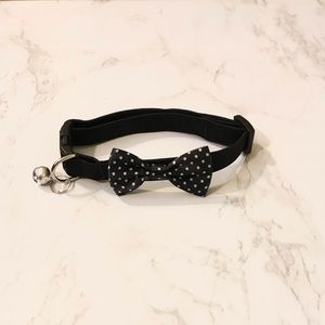 NWOT Small Pet Collar